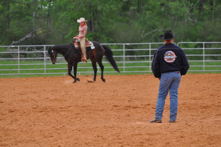 Outdoor warm-up arena
