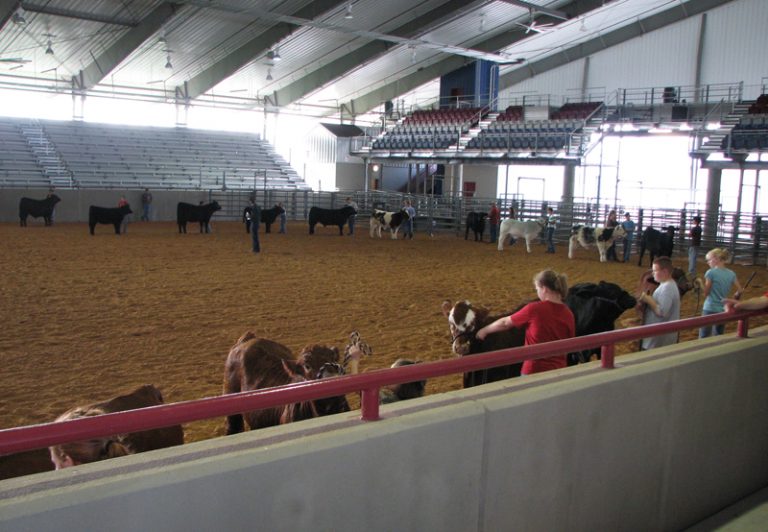 Livestock Show