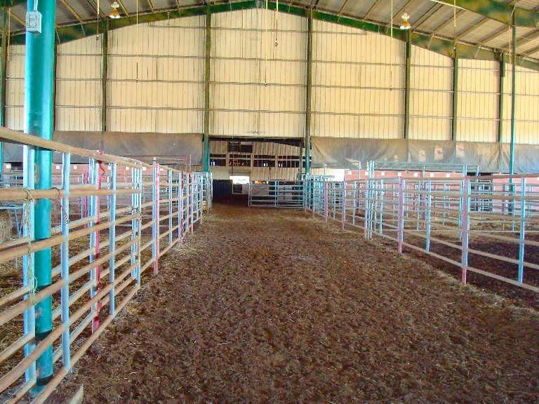 Alley way to main arena