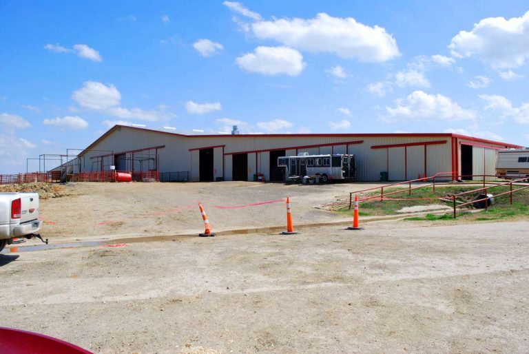 Out back looking at stalls