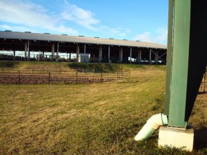Lone Star Convention Center View Of Extra Warm up and Main Arena