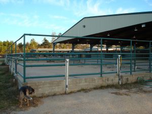 Lone Star Convention and Expo Center Wash Racks