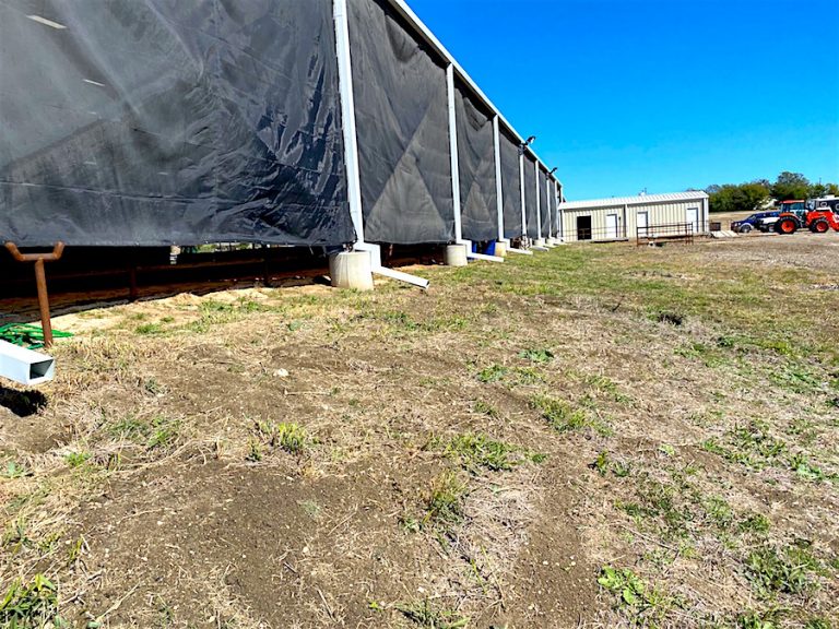 From the other end of arena